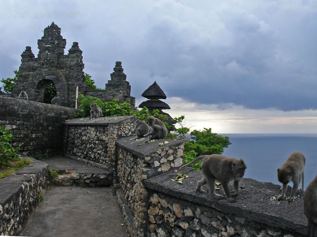 Bali Green Hills Pecatu Εξωτερικό φωτογραφία